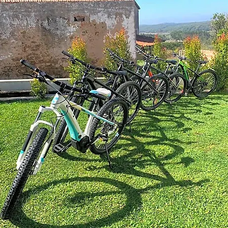 Bedebike Bed and breakfast