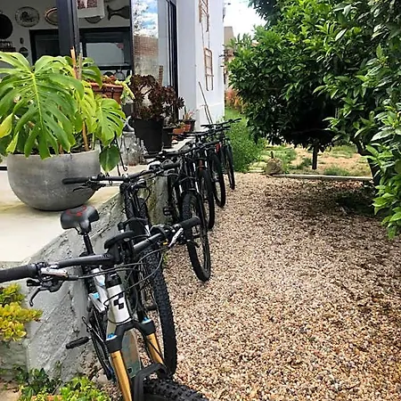 Bedebike Obidos