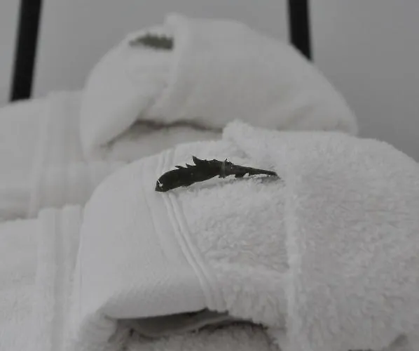 Bedebike 住宿加早餐酒店