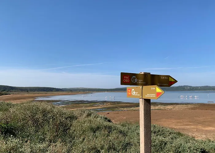 Bedebike 奥比多斯